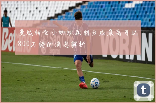 曼城转会小蜘蛛获利分成最高可达800万镑的消息解析