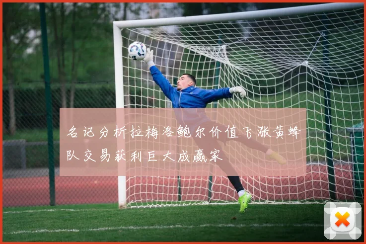 名记分析拉梅洛鲍尔价值飞涨黄蜂队交易获利巨大成赢家